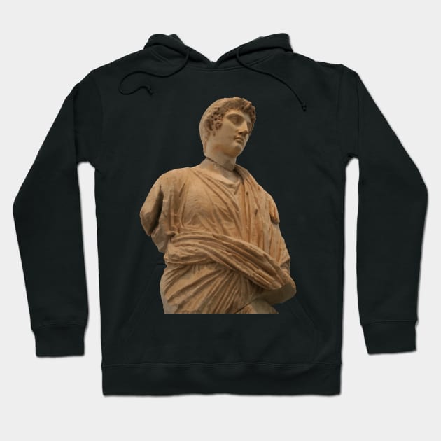 Statue of Roman Citizen Wearing Toga Vector Art Hoodie by taiche